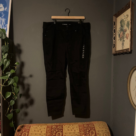 torrid Pants - Torrid High-Rise Skinny Jeggings – Black (NWT, Size 20S)